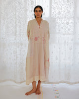 Colniza Chikankari Dress
