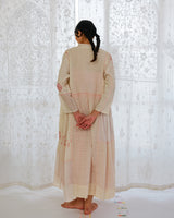 Colniza Chikankari Dress