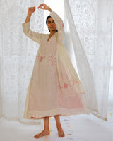 Colniza Chikankari Dress