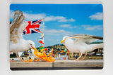 Martin Parr - Animals