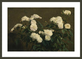 Framed Print | Henri Fantin-Latour "Still Life of White Roses"