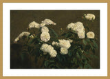 Framed Print | Henri Fantin-Latour "Still Life of White Roses"