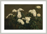 Framed Print | Henri Fantin-Latour "Still Life of White Roses"