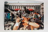 Martin Parr - Animals