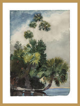 Framed Print | Winslow Homer "Palm Trees, Florida"