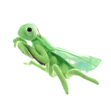 Praying Mantis Insect