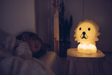 First Light | Lion