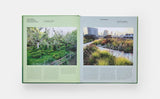The Contemporary Garden