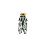 Walker's Cicada Brooch Pin