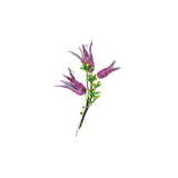Violet Limodore Boutonniere Pin