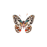 Lime Swallowtail Butterfly Brooch Pin