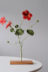 Garden Nasturtium Object Art