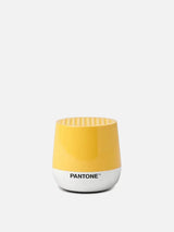 Mino+ Wirelessly Rechargeable 3W Bluetooth Speaker