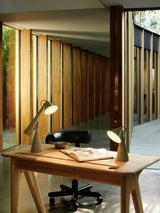 Lamp - Pose Portable Led Un: Putty