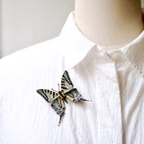 Scarce Swallowtail Brooch Pin