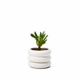Stacking Planter - Multiple Sizes