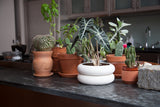Stacking Planter - Multiple Sizes