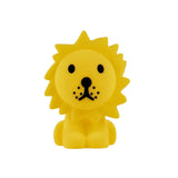 First Light | Lion