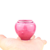 SGW Lab Miniature Pots