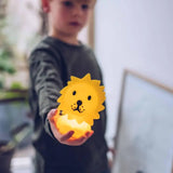Bundle of Light, Small | Lion