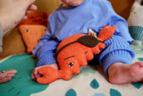 Nipper Crab