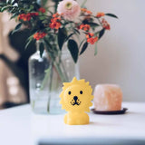 Bundle of Light, Small | Lion