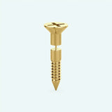 Screw Earring