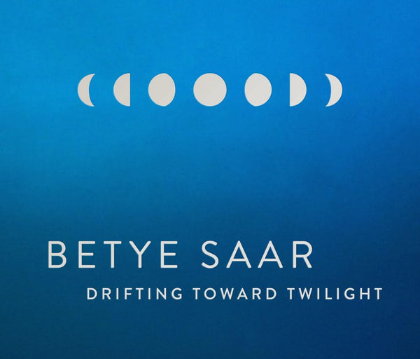Betye Saar: Drifting toward Twilight Hardcover
