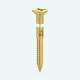 Screw Earring