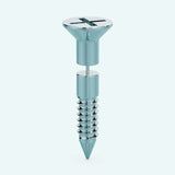 Screw Earring