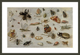Framed Print | Jan van Kessel "A study of Butterflies, Moths, Spiders, and Insects"