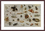 Framed Print | Jan van Kessel "A study of Butterflies, Moths, Spiders, and Insects"