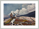 Framed Print | Winslow Homer "Woodsman and Fallen Tree"
