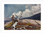Framed Print | Winslow Homer "Woodsman and Fallen Tree"