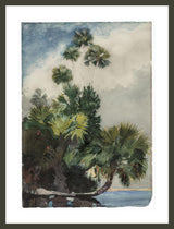 Framed Print | Winslow Homer "Palm Trees, Florida"