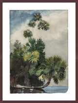 Framed Print | Winslow Homer "Palm Trees, Florida"
