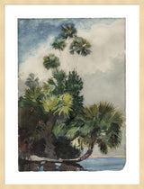 Framed Print | Winslow Homer "Palm Trees, Florida"