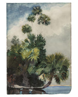 Framed Print | Winslow Homer "Palm Trees, Florida"