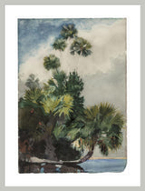 Framed Print | Winslow Homer "Palm Trees, Florida"