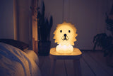 First Light | Lion
