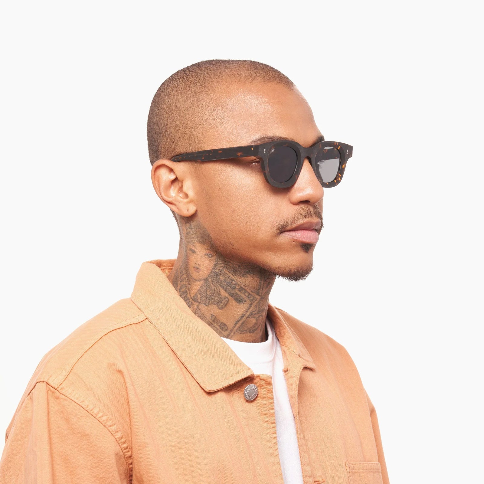 ApolloRawTortoise8_1600x.jpg?v