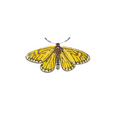Yellow Coster Butterfly Brooch Pin
