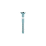 Screw Earring