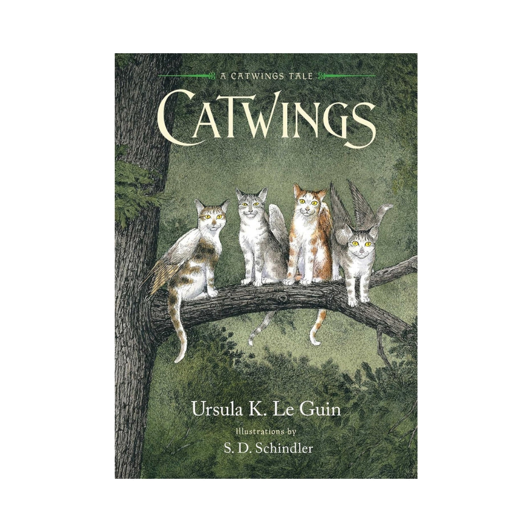 Catwings – The Museum of Fine Arts, Houston
