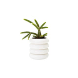 Stacking Planter - Multiple Sizes