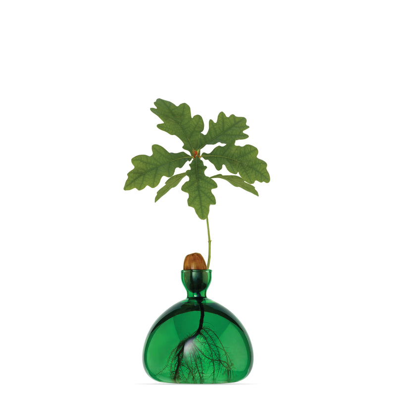 Acorn Vase - Emerald Green