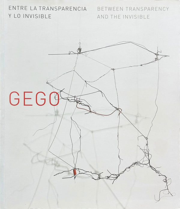 Gego: Between Transparency and the Invisible