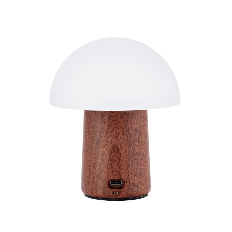 Mini Alice Mushroom Lamp