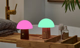 Mini Alice Mushroom Lamp