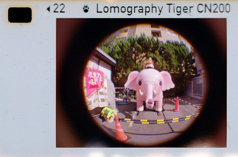 Color Tiger 110mm / ISO 200 Film